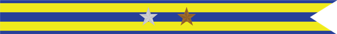 United States Navy Expeditionary Campaign Streamer with 1 Silver Star & 1 Bronze Star